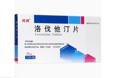 最新!高一上26年襄阳四中8月月考各科试卷(卓越班语数物化生)